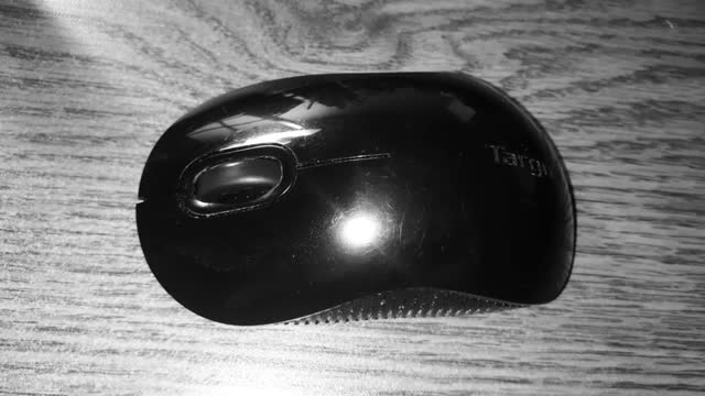 RINO Great Reset To Mouse