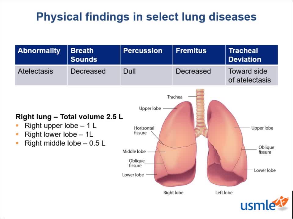 USMLE-Rx •Physical findings in select lung diseases