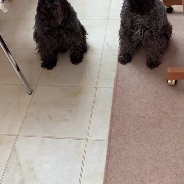 “Wait for it ….”