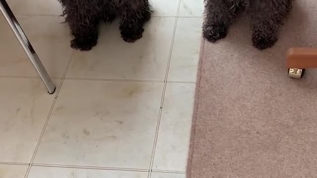 “Wait for it ….”