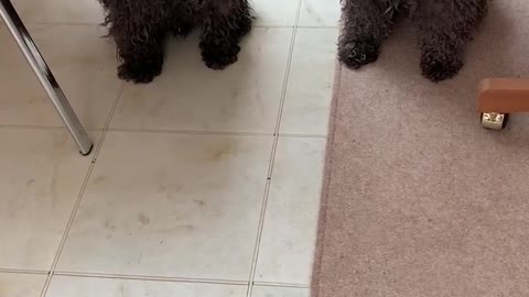 “Wait for it ….”