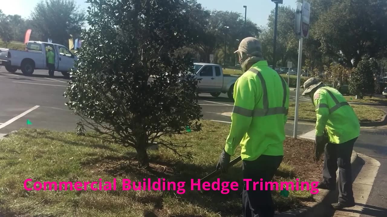 Premier Landscape Management - #1 Commercial Building Hedge Trimming in Sanford, FL