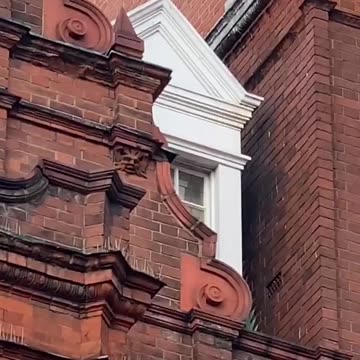 Mud Floods and Vault Lights