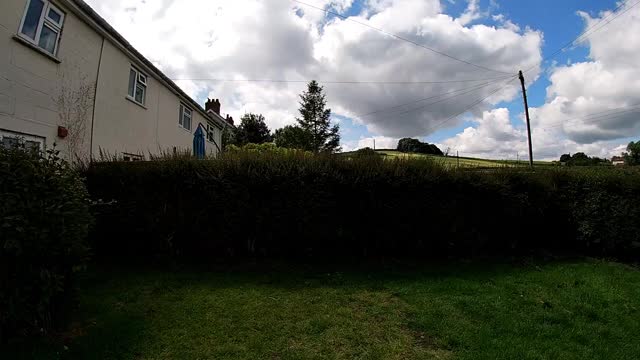 Hedge trimming time-lapse