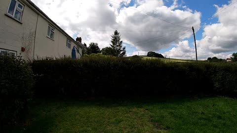 Hedge trimming time-lapse