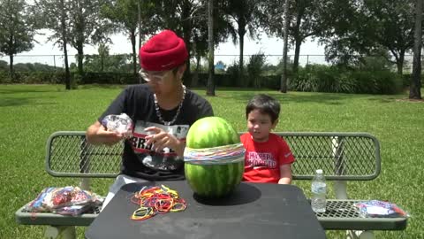 What Do You Think Will Happen? 500 Rubber Bands Around Watermelon