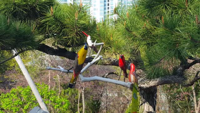 Parrot that is silent even in car noise