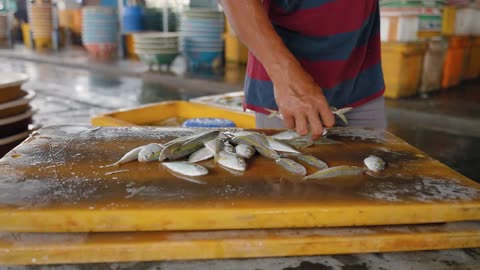 Close Up Shot of Man Throwing Fish