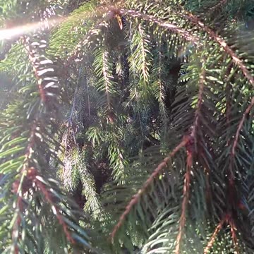 Laser Engraving Slate Heart Ornament - Christmas Theme #xtoolf1 #xtool