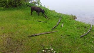 Duke fishes for big sticks