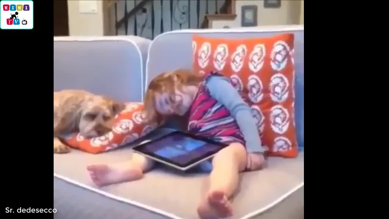 Cute dog - The dog's reaction to the baby for the first time is pretty amazing