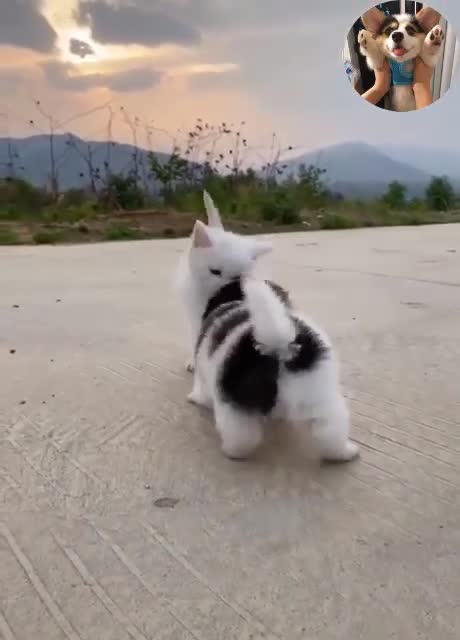 Omg so absolutely lovely