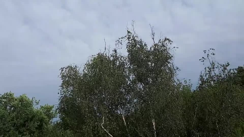 Himmel in Berlin am 14. Juli 2022 um 18:30 Uhr