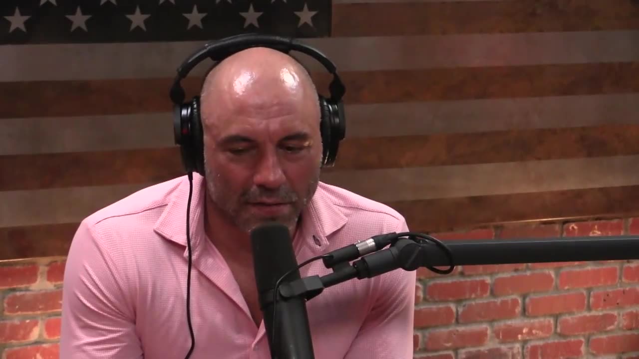 Joe Rogan Experience ft. Elon Musk