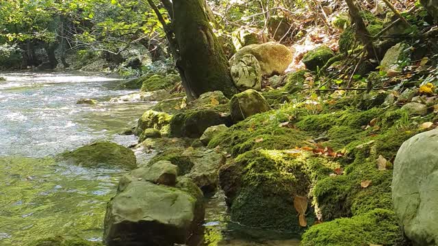 Cristal clear river in a wild area