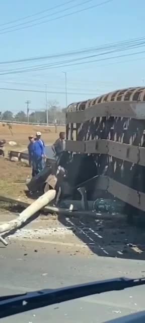 Caminhão que transportava bois tomba em rodovia no DF ; 1 animal morre