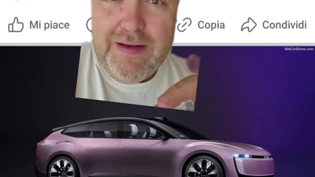 Audi cinese