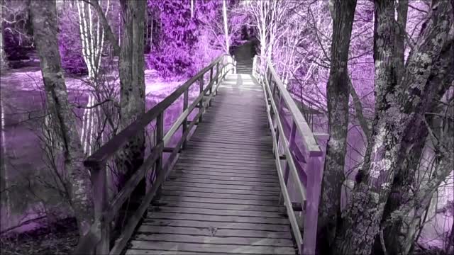 Kun katselen näitä lapsia - Indy Angel