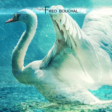 Le Vilain Petit Canard (Teaser)