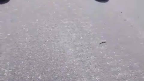 Mines on the road and civilian cars just being able to drive between them in Kiev region, Ukraine