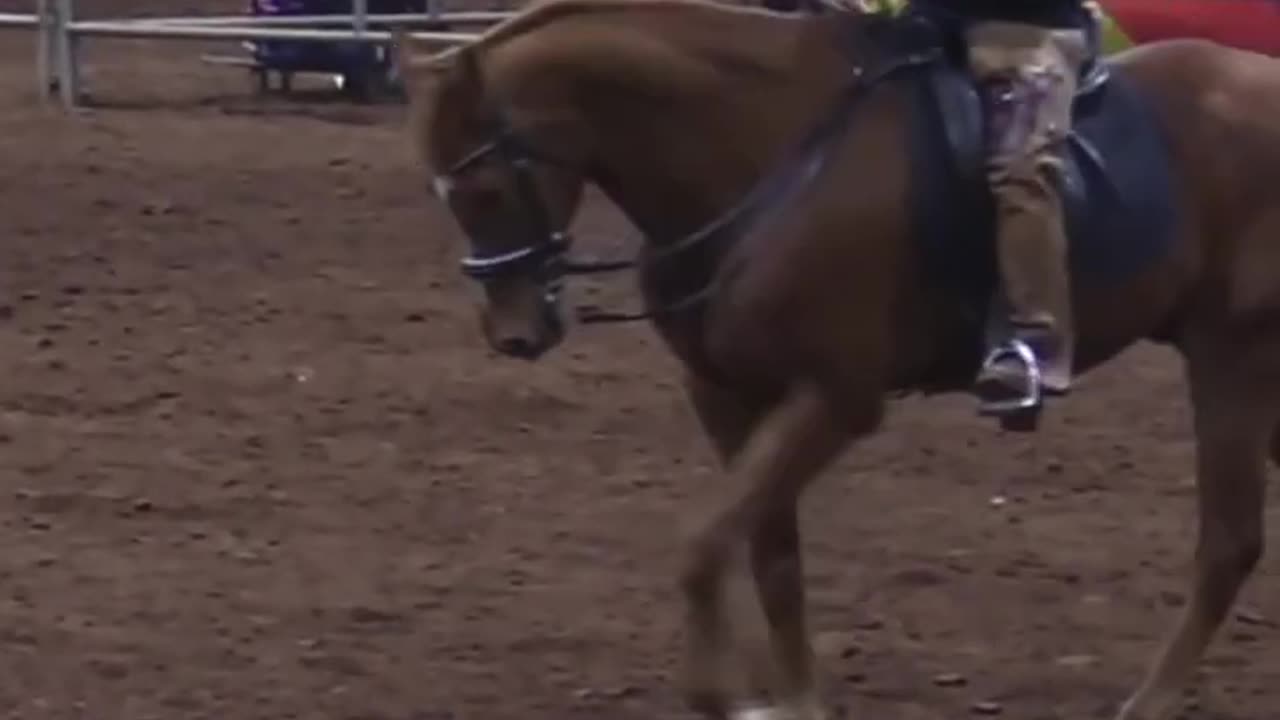 Easy horse riding tutorial 🐎 / learn horse riding in few steps 👍