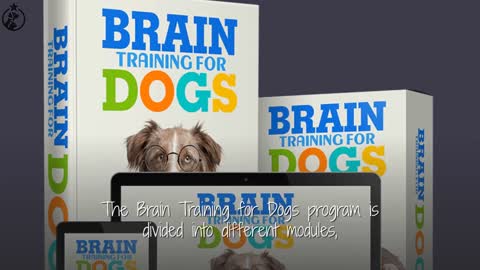 Brain Training for Dogs Review: Everything You Need to Know