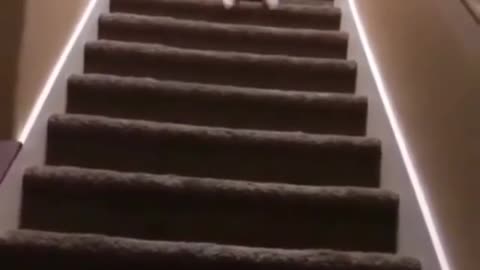 Cute Baby Down Stairs