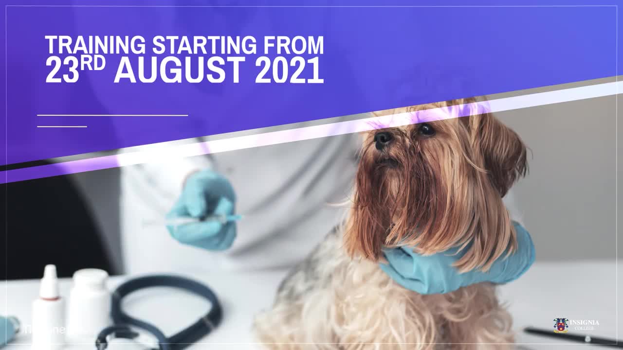 Veterinary Assistant Diploma in Delta, Surrey, Vancouver BC