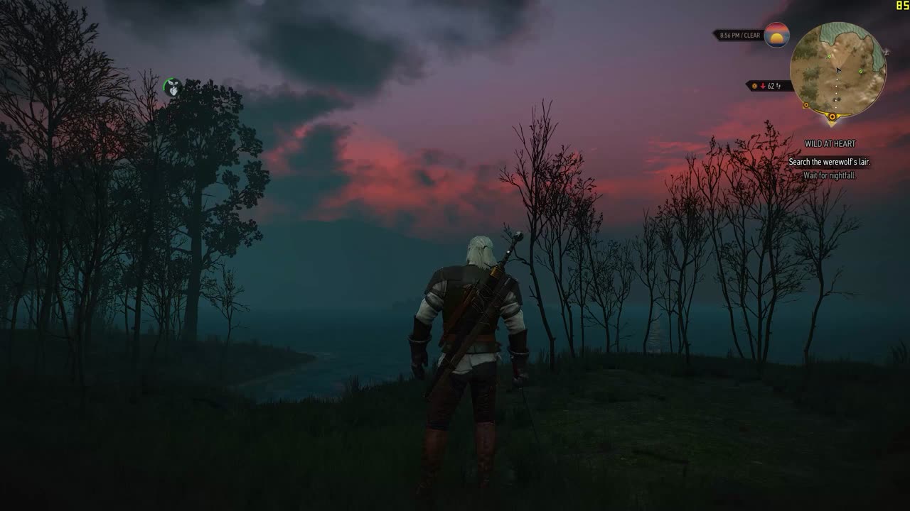 Day-Night Transition - The Witcher 3 (PC)
