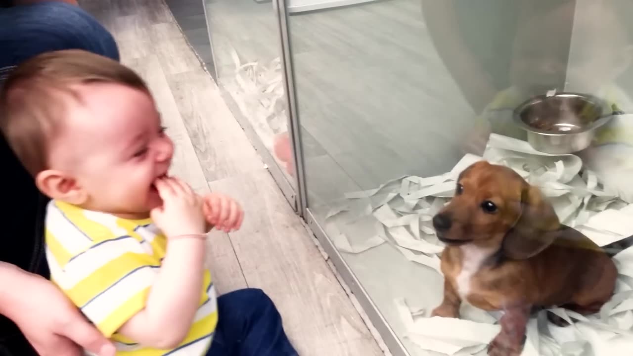 #funnybaby#cute#laughingvideo