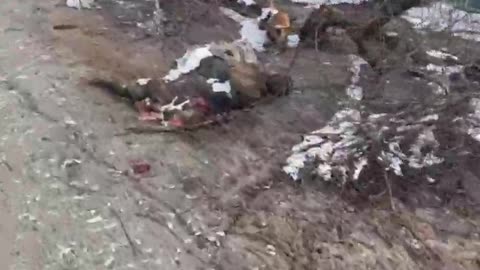 Volnovakha - Dead Soldiers Line the Streets
