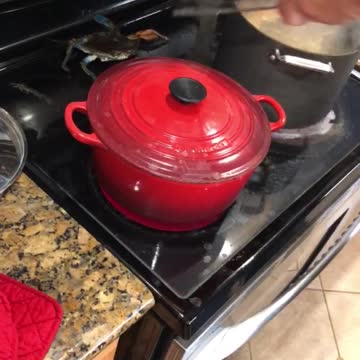 PLEASE DON’T EAT ME