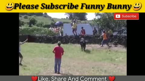 Best funny videos 2020 Most awesome bullfighting festival funny crazy bull fail