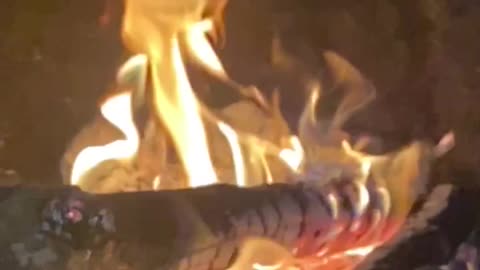 Outside fire pit