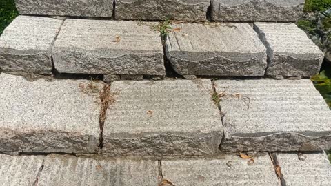 Where does this stone bridge lead?