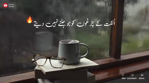 Hum Saath Main Chalte Hai - New Tiktok Shayari