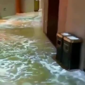 Family harmony is the happiest thing in life. Goethe