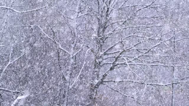 Relaxing, Soothing, Stress Relief Snowy Days Video