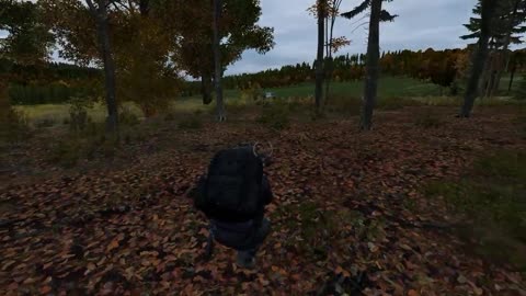 DayZ 2018 - No deer today - Stuck in a glitch.