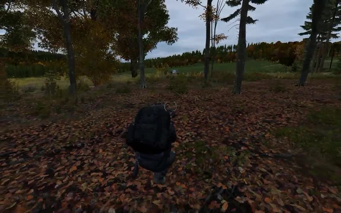 DayZ 2018 - No deer today - Stuck in a glitch.