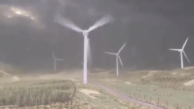 WTF