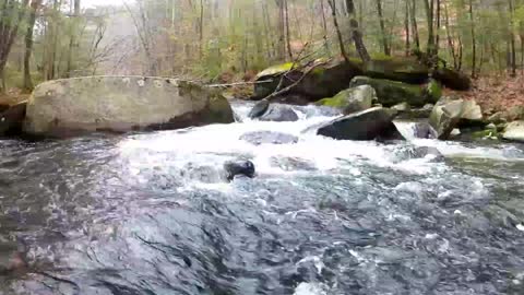 [Just Nature] Rushing Brook- UpNorth