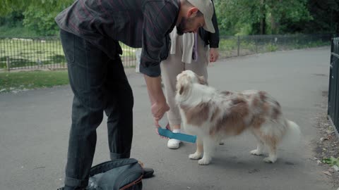 A couple feeds a dog in the park