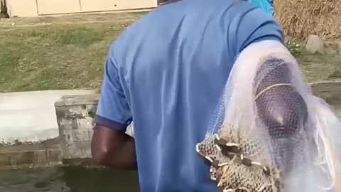 Amazing fishing