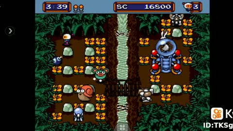 Mega Bomberman
