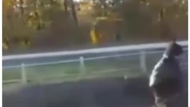 maneuvering the accident