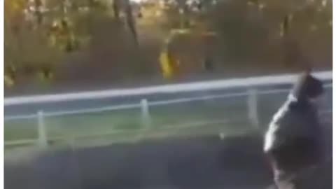 maneuvering the accident