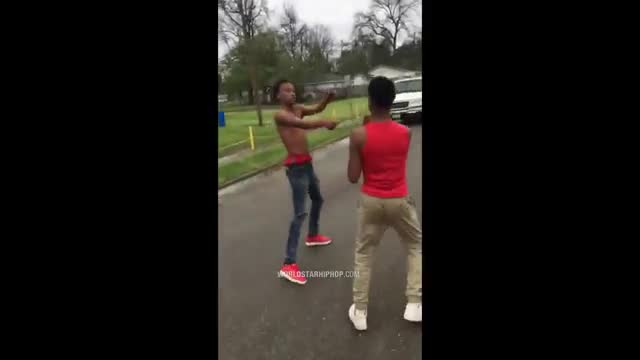 Wild fist fight