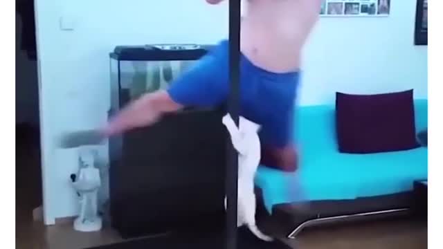 Kitten acts like a pole dancer - Best of funny animals 2021