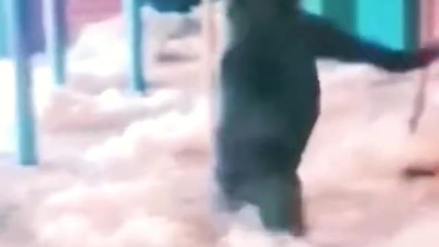 speechless. This is too terrifying. Using weapons and